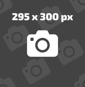 image missing 295x300px